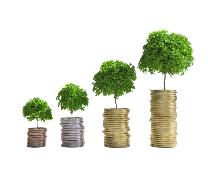 About us - capital Holding